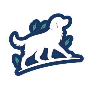 Dog training, fitness, walking services in Boulder.